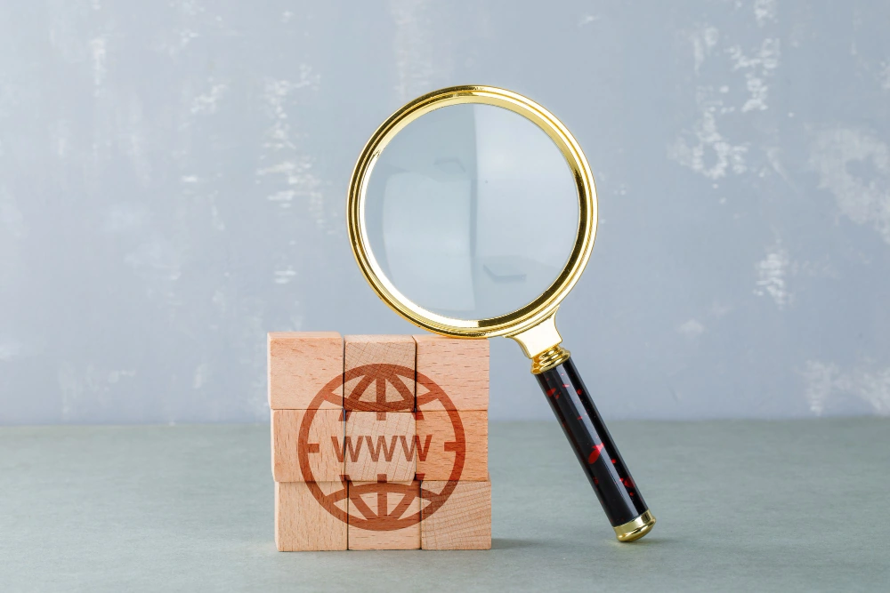 Court-Backed URL Removal for Search Reputation